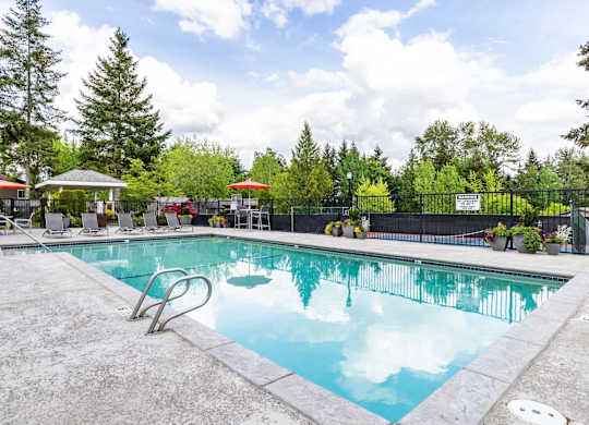 A swimming pool surrounded by trees and a fence.