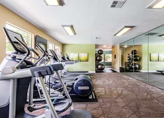 A gym with treadmills, exercise balls, and mirrors.
