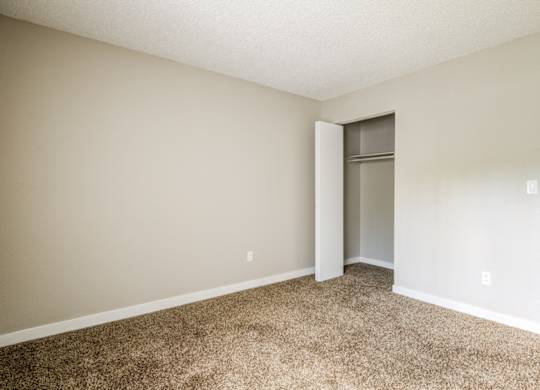 A room with a carpeted floor and a closet with a door.