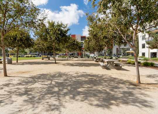 A park with a sandy area and trees.