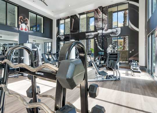 A gym with a variety of equipment including a weight machine and a treadmill.