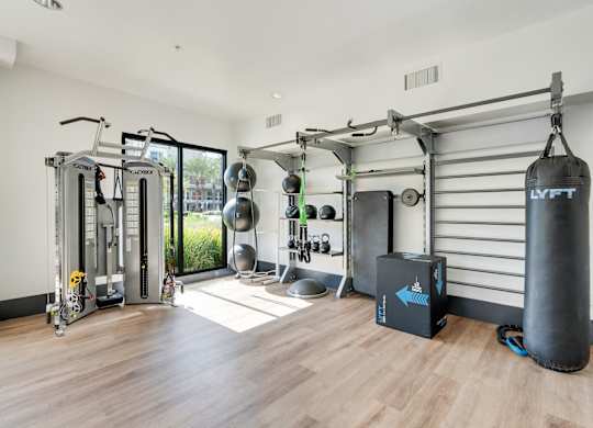 A gym with a punching bag and a variety of exercise equipment.
