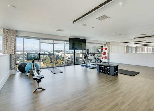 A spacious room with a wooden floor, a television, and exercise equipment.