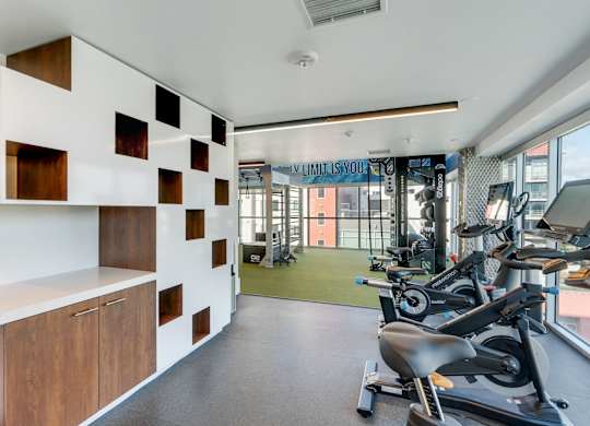 A gym with a row of exercise bikes and a wall of shelves.