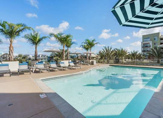 A large outdoor swimming pool surrounded by palm trees and lounge chairs.