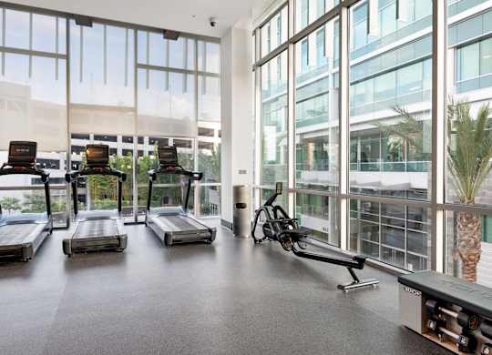 A gym with treadmills, exercise bikes and a rowing machine.
