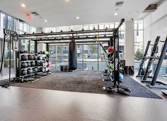 A gym with a punching bag, weights, and exercise equipment.