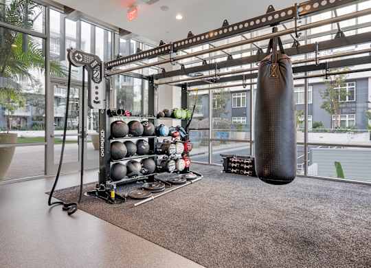 A gym with a punching bag, weights, and exercise equipment.
