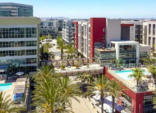 A view of a pool and palm trees from a high angle.