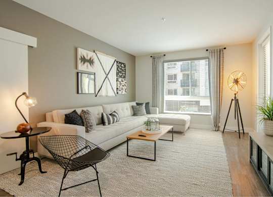 A living room with a white couch, a black chair, and a small table with a plant on it.