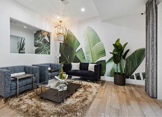 A living room with a grey sofa, a black couch, a glass coffee table, and a large plant.