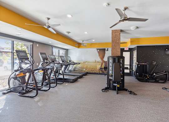 A gym with treadmills, exercise bikes, and a fan.