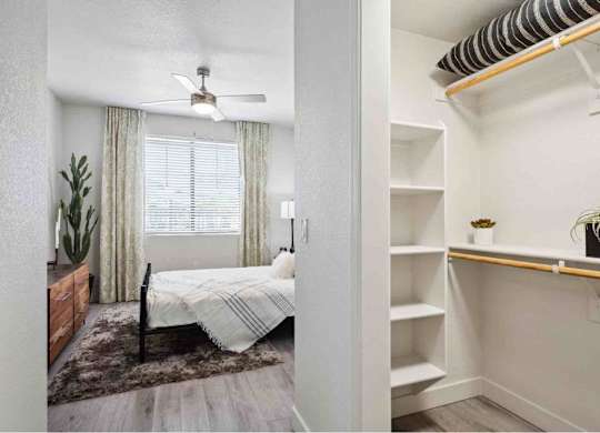 A bedroom with a bed, a ceiling fan, and a shelf with plants.