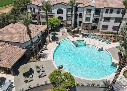 A large swimming pool surrounded by palm trees and lounge chairs.