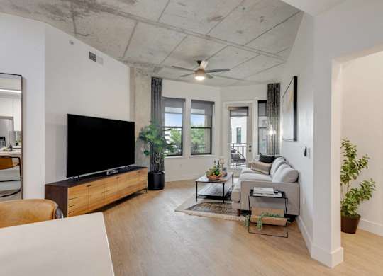 A living room with a television, couch, and plants.