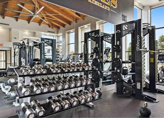 a fully equipped fitness center with weights and other exercise equipment