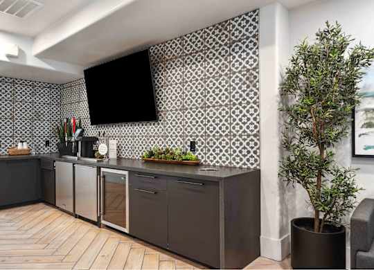a kitchen with grey cabinets and a large plant in a pot