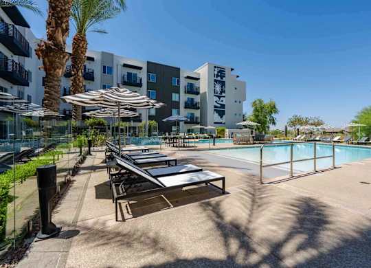 our apartments showcase a swimming pool