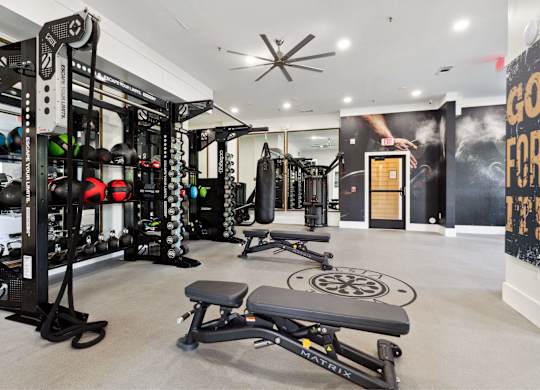 A gym with a variety of equipment including a squat rack, bench, and weights.