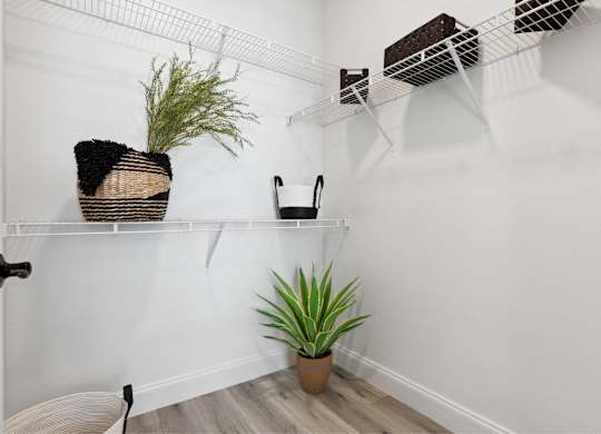 A white wall with a shelf and a plant on it.