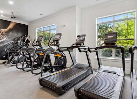A row of treadmills are lined up in a gym.