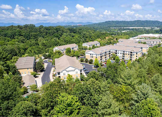 A bird's eye view of a residential area surrounded by trees.