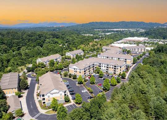 A bird's eye view of a residential complex surrounded by trees.