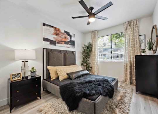 A bedroom with a black bed and a ceiling fan.