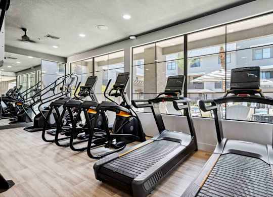 A gym with treadmills and elliptical machines.
