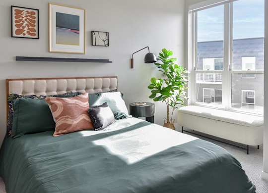 One Bedroom Luxury Apartments in Hopkins, MN - The Hallon - Furnished Bedroom with Plush Carpet Flooring and an Oversized Window