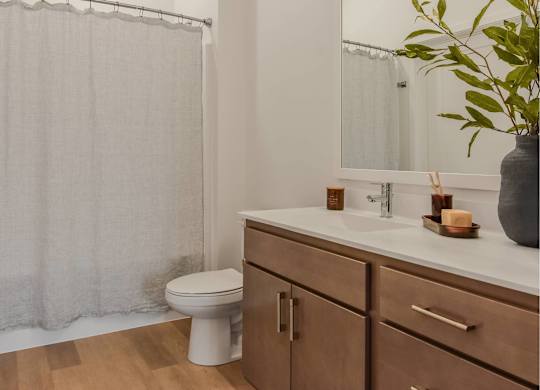 A bathroom with a toilet, sink, and a plant.