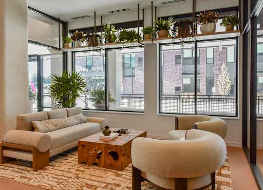 A living room with a couch, chair, and potted plants.