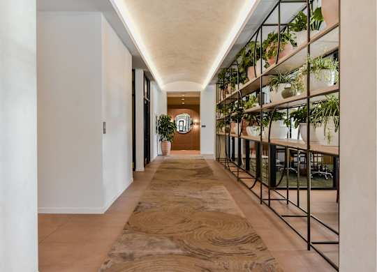 A long hallway with a rug on the floor and plants on the shelves.