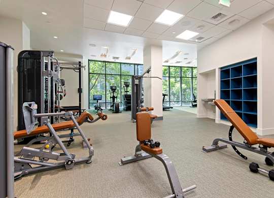 A gym with a variety of equipment including a leg press machine, a chest press machine, and a squat rack.