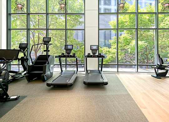 A gym with treadmills, exercise bikes, and other equipment.