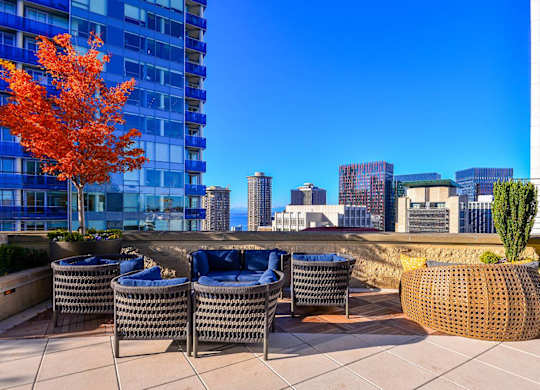 A patio with blue chairs and a tree with orange leaves.
