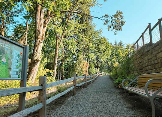 A gravel pathway with a bench and a wooden fence.