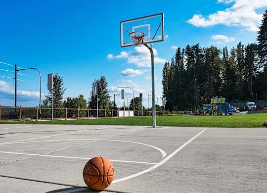 A basketball is on the ground in front of a basketball hoop.