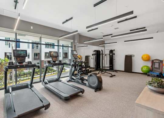 A gym with treadmills, exercise bikes, and other equipment.