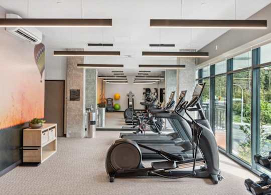 A gym with treadmills and exercise equipment.
