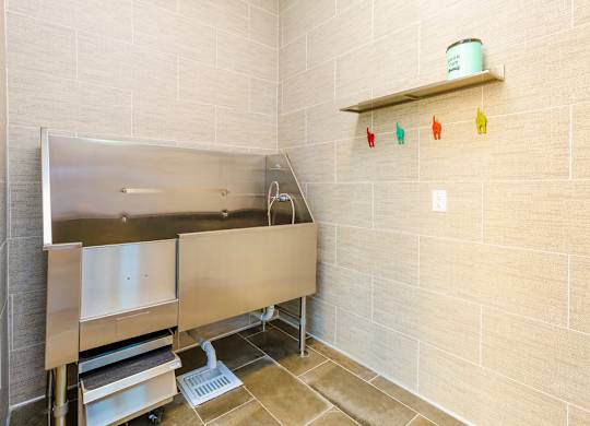 Pet Spa, stainless steel sink in a bathroom with a wall-mounted shelf above it.