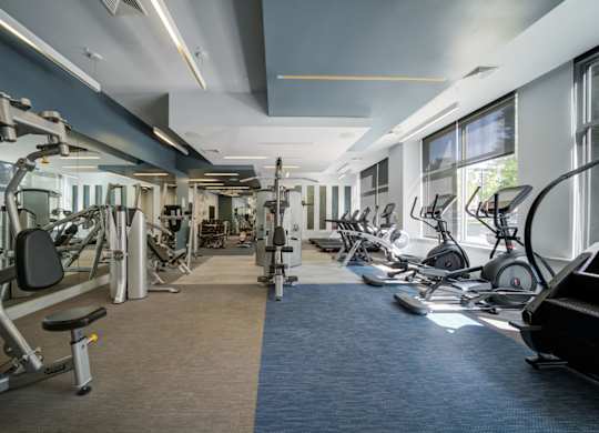 A gym with a variety of exercise equipment.