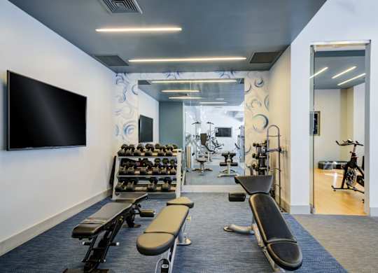 A gym with a variety of equipment including weights, benches, and a television.