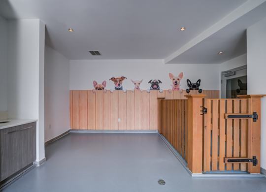 A room with a grey floor and a wooden partition with drawings of dogs on it.