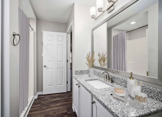 a bathroom with a sink and a mirror