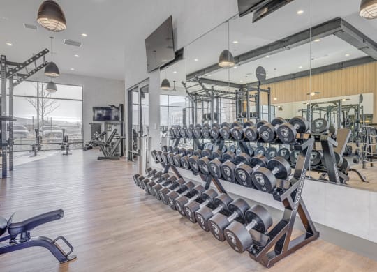 the gym is equipped with weights and cardio equipment
