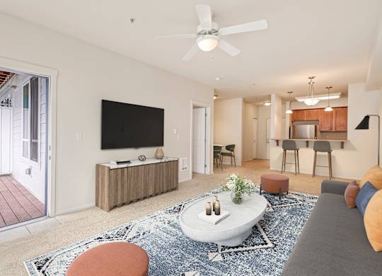 A living room with a television, a sofa, and a rug.
