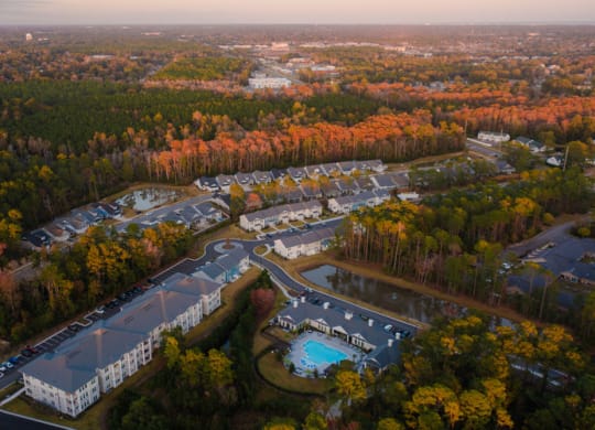 arial view of the campus in the fall