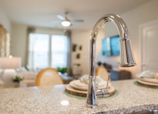 a kitchen sink with a chrome faucet