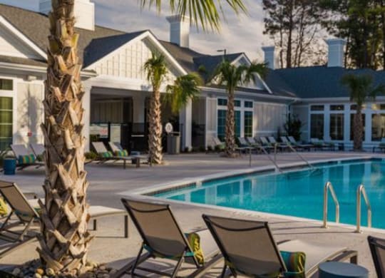 a swimming pool with chaise lounge chairs and palm trees